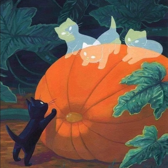 Meet your Posher, Debra - Picture 1 of 1